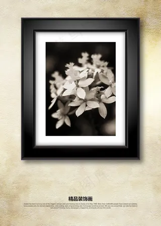 黑白花卉剪影装饰画无框画挂画