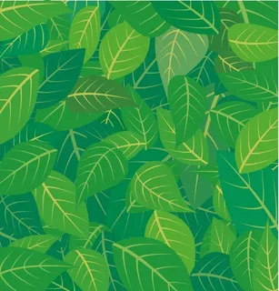 绿色树叶底纹