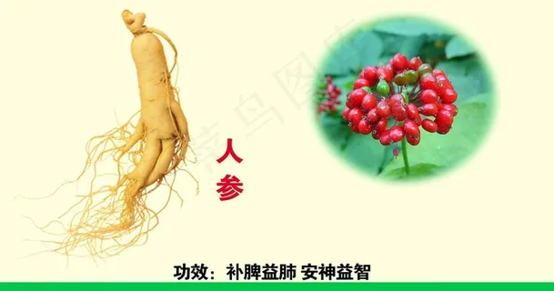 药品人叁图片 药品人叁图片