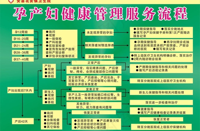 孕产妇健康管理服务图片