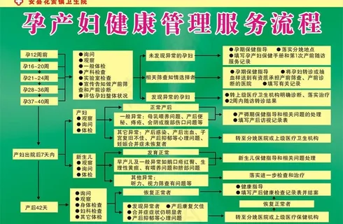 孕产妇健康管理服务图片