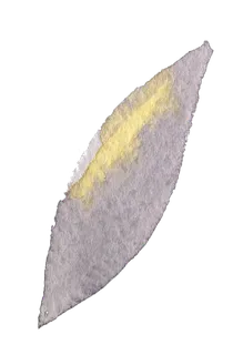 手绘水彩小鹿花朵羽毛png免扣设计... 手绘水彩小鹿花朵羽毛png免扣设计...