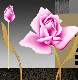 粉玫瑰
