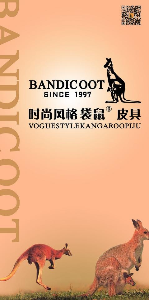 袋鼠图片