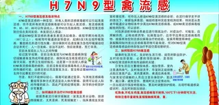 H7N9型禽流感图片