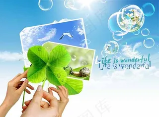 清新四叶草风景