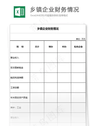 乡镇企业财务情况表格