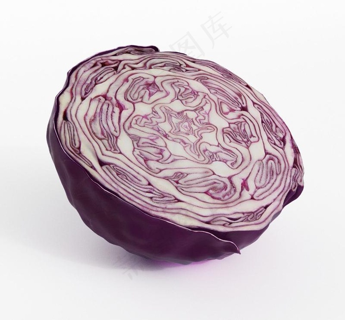 包心菜三维模型图片