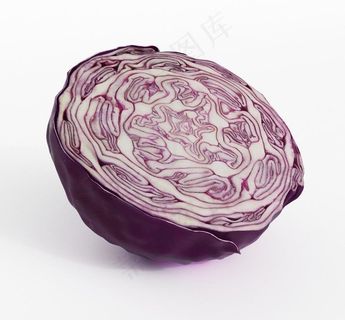 包心菜三维模型图片