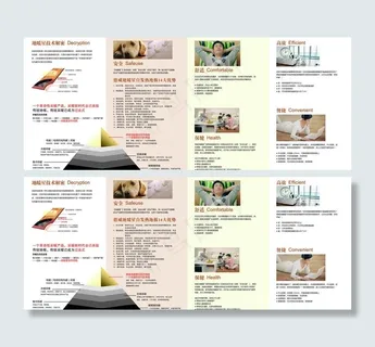 德威 四折页图片