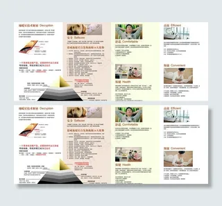 德威 四折页图片