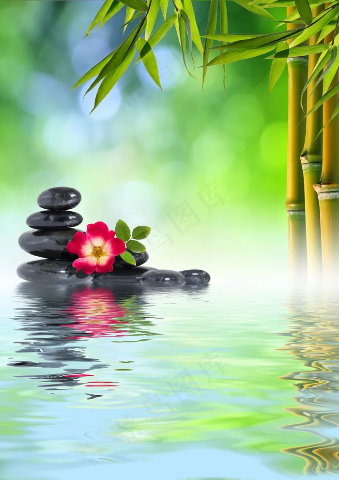 spa 水疗图片
