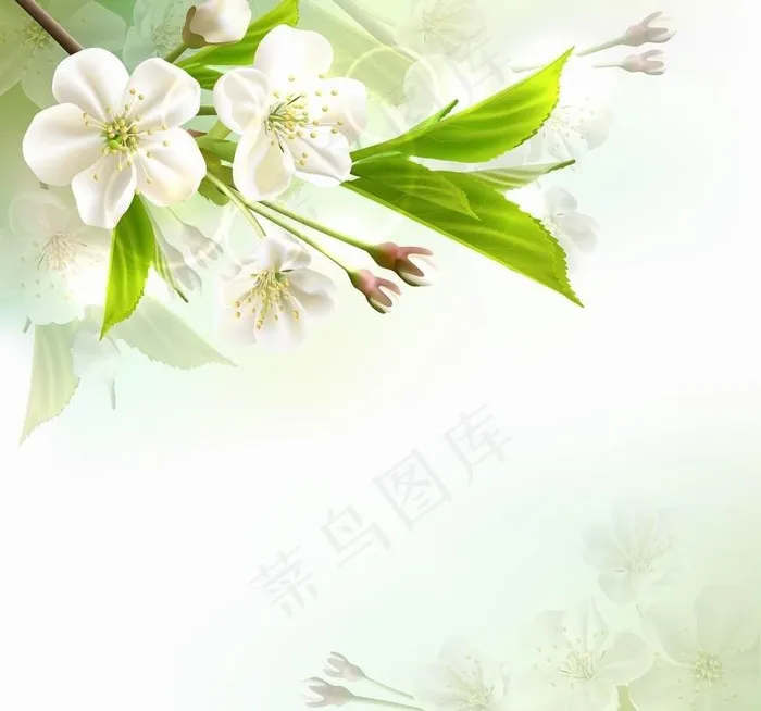 春天鲜花花卡图片eps,ai矢量模版下载