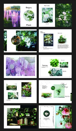 植物画册