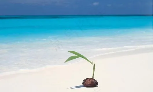 蓝天白云与海滩图片