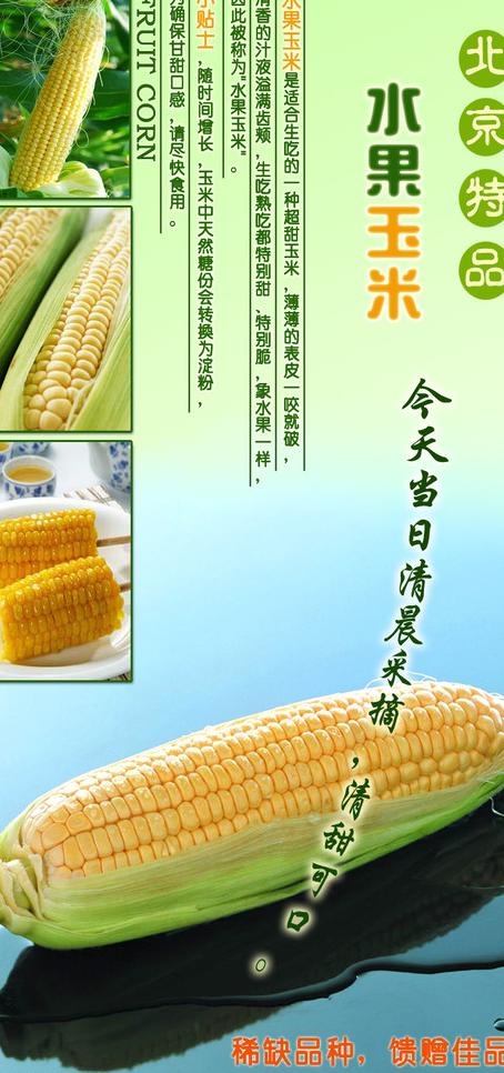 玉米图片