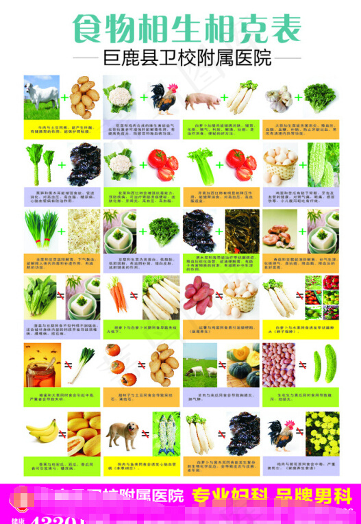 食物相克表挂图(380X560)cdr矢量模版下载