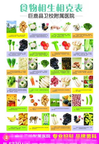 食物相克表挂图