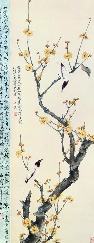 腊梅山禽图片