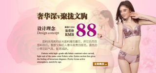 奢华深V聚拢文胸内衣海报