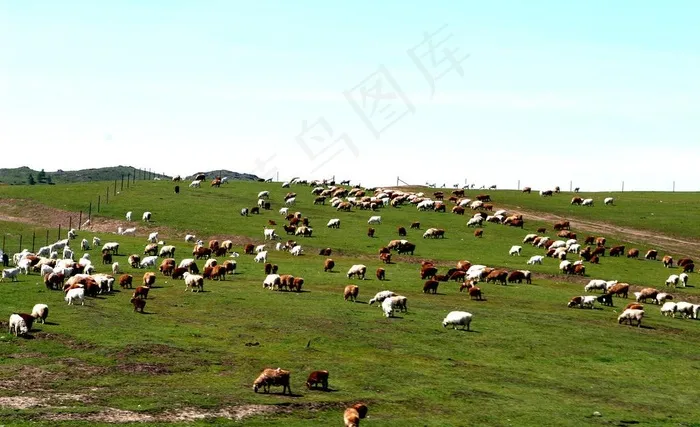 吉克普林草原图片