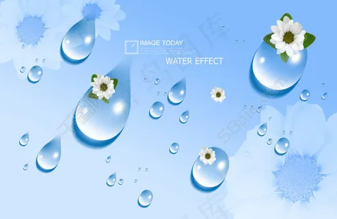 晶莹水滴和白色小花