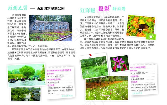 杂志排版图片(213X146)cdr矢量模版下载