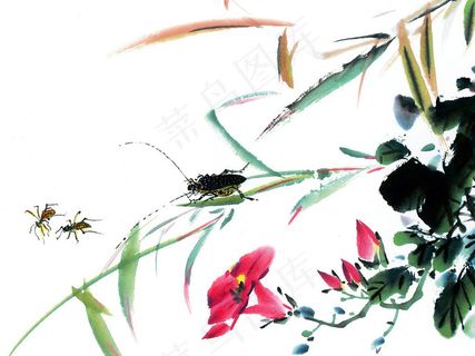 蛐蛐牵牛花水墨画 蛐蛐牵牛花水墨画