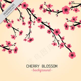 粉红色的樱花图片