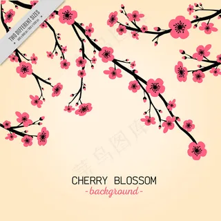 粉红色的樱花图片