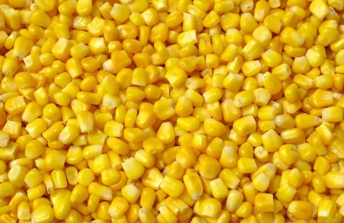 玉米仁图片
