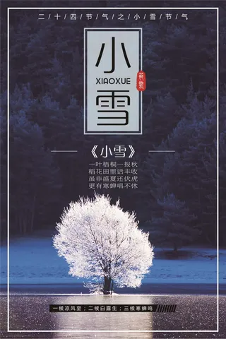 创意时尚小雪冬季宣传海报