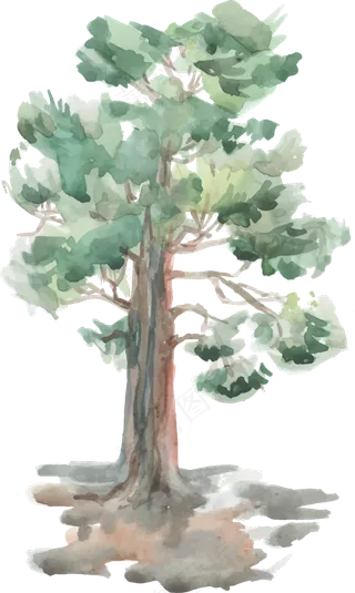 创意卡通抽象手绘彩绘树木小树PNG...