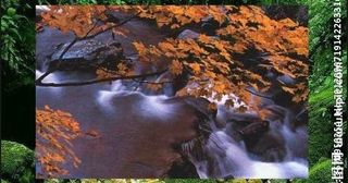 春天变秋天图片