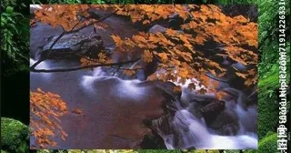 春天变秋天图片