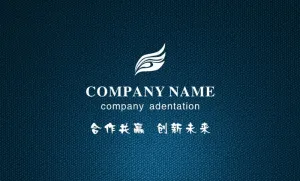 蓝色简洁商业高档名片IT名片