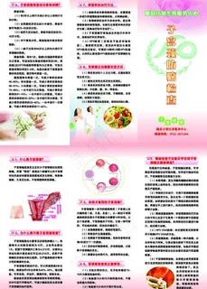 子宫颈癌预防折页图片