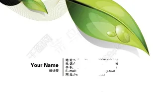 树叶名片设计源文件psd免费下载