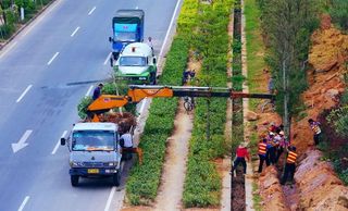 交通建设 道路绿化