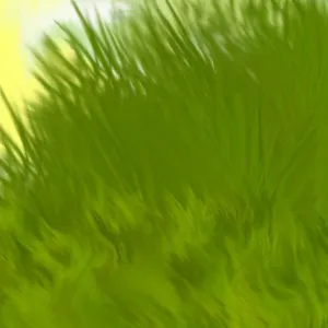 翠绿的草图片