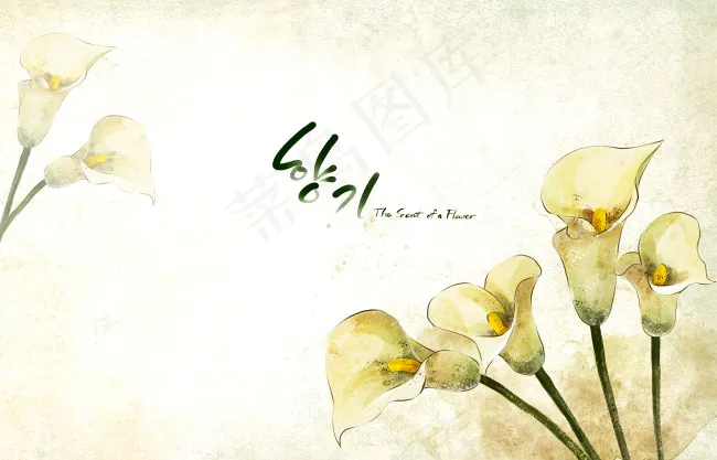 唯美马蹄莲(4961X3189(DPI:300))psd模版下载