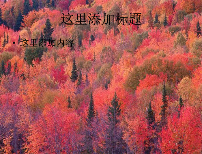 大自然风景绿色养眼高清ppt封面...