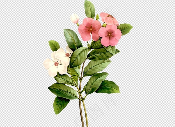 唯美免扣手绘花朵叶子树叶背景墙素材...