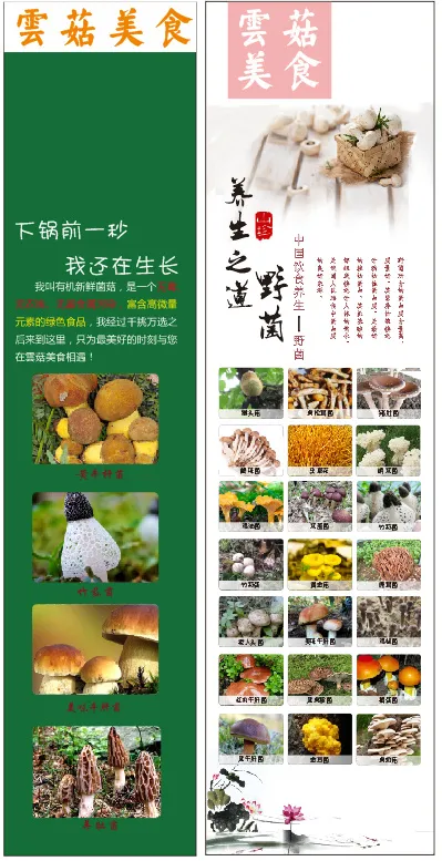 菌菇cdr矢量模版下载
