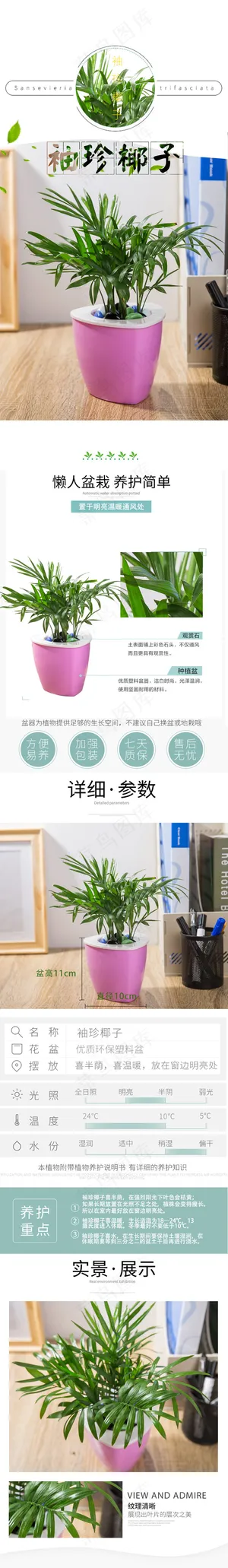 袖珍椰子绿植清新简约田园风小花瓶详情页