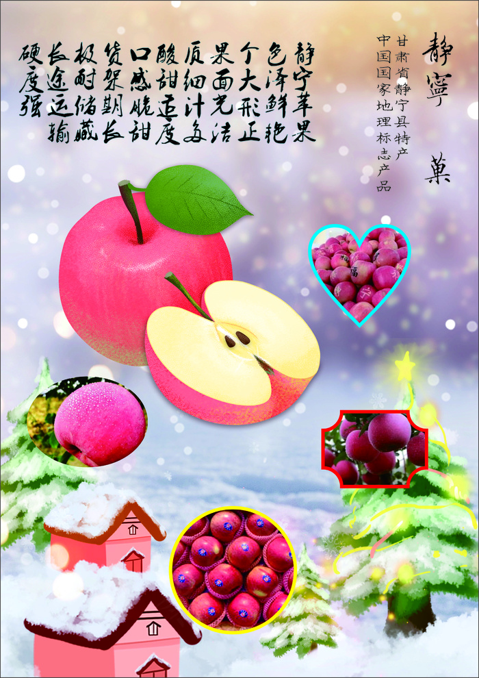 Backup_of_静宁苹果001