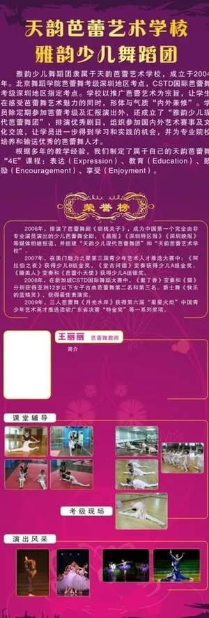 芭蕾舞艺术学校x展架图片