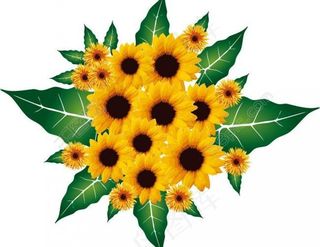 向日葵绿叶花纹背景图片