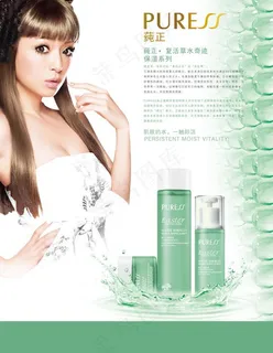 复活草招商海报图片