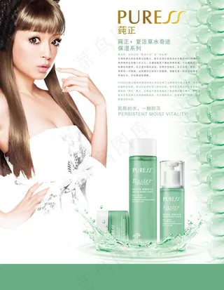 复活草招商海报图片